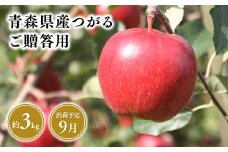 2025年産9月発送　贈答用つがる3kg 【青森県 平川市 そと川りんご園】9月発送 贈答 青森 青森県産 平川 りんご リンゴ 林檎 くだもの 果物 フルーツ 
