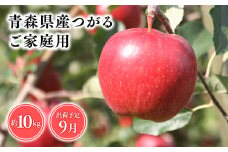 2025年産9月発送　【訳あり】家庭用つがる10kg【青森県 平川市 そと川りんご園】9月発送 家庭用 青森 青森県産 平川 りんご リンゴ 林檎 くだもの 果物 フルーツ 