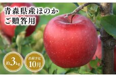 2025年産１０月発送　贈答用ほのか3kg【青森県 平川市 そと川りんご園】10月発送 贈答 青森 青森県産 平川 りんご リンゴ 林檎 くだもの 果物 フルーツ 