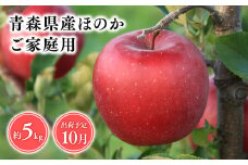 2025年産１０月発送　【訳あり】家庭用ほのか5kg【青森県 平川市 そと川りんご園】１０月発送 家庭用 青森 青森県産 平川 りんご リンゴ 林檎 くだもの 果物 フルーツ 