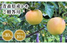 2025年産１０月発送　贈答用トキ10kg【青森県 平川市 そと川りんご園】１０月発送 贈答 青森 青森県産 平川 りんご リンゴ 林檎 くだもの 果物 フルーツ 
