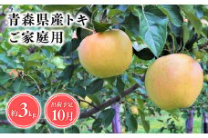 2025年産１０月発送　【訳あり】家庭用トキ3kg【青森県 平川市 そと川りんご園】１０月発送 家庭用 青森 青森県産 平川 りんご リンゴ 林檎 くだもの 果物 フルーツ 