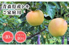 2025年産１０月発送　【訳あり】家庭用トキ10kg【青森県 平川市 そと川りんご園】１０月発送 家庭用 青森 青森県産 平川 りんご リンゴ 林檎 くだもの 果物 フルーツ 