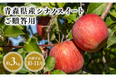 2025年産１０月・１１月発送　贈答用シナノスイート3kg【青森県 平川市 そと川りんご園】１０月～１１月発送 贈答 青森 青森県産 平川 りんご リンゴ 林檎 くだもの 果物 フルーツ 