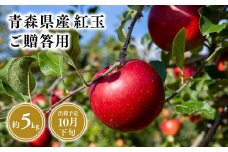 2025年産１０月発送　贈答用紅玉5kg【青森県 平川市 そと川りんご園】１０月発送 贈答 青森 青森県産 平川 りんご リンゴ 林檎 くだもの 果物 フルーツ 