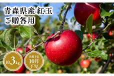2025年産１０月発送　贈答用紅玉3kg【青森県 平川市 そと川りんご園】１０月発送 贈答 青森 青森県産 平川 りんご リンゴ 林檎 くだもの 果物 フルーツ 
