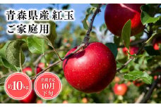 2025年産１０月発送　【訳あり】家庭用紅玉10kg【青森県 平川市 そと川りんご園】１０月発送 家庭用 青森 青森県産 平川 りんご リンゴ 林檎 くだもの 果物 フルーツ 