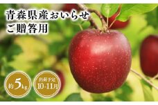2025年産１０月・１１月発送　贈答用おいらせ5kg【青森県 平川市 そと川りんご園】１０月～１１月発送 贈答 青森 青森県産 平川 りんご リンゴ 林檎 くだもの 果物 フルーツ 