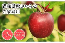 2025年産 １０月・１１月発送　【訳あり】家庭用おいらせ3kg【青森県 平川市 そと川りんご園】１０月～１１月発送 家庭用 青森 青森県産 平川 りんご リンゴ 林檎 くだもの 果物 フルーツ 