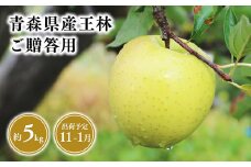 2025年産 １１月～１月発送　贈答用王林5kg【青森県 平川市 そと川りんご園】１１月～１月発送 贈答 青森 青森県産 平川 りんご リンゴ 林檎 くだもの 果物 フルーツ 