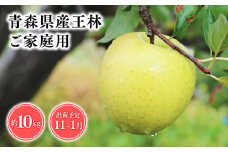2025年産 １１月～１月発送　【訳あり】家庭用王林10kg【青森県 平川市 そと川りんご園】１１月～１月発送 家庭用 青森 青森県産 平川 りんご リンゴ 林檎 くだもの 果物 フルーツ 