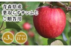 2025年産１１月～４月発送　贈答用葉とらずサンふじ3kg【青森県 平川市 そと川りんご園】１１月～４月発送 贈答 青森 青森県産 平川 葉とらず サンふじ ふじ りんご リンゴ 林檎 くだもの 果物 フルーツ 