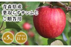 2025年産１１月～４月発送　贈答用葉とらずサンふじ5kg【青森県 平川市 そと川りんご園】１１月～４月発送 贈答 青森 青森県産 平川 葉とらず サンふじ ふじ りんご リンゴ 林檎 くだもの 果物 フルーツ 