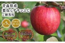 2025年産１１月～４月発送　贈答用葉とらずサンふじ5kg【青森県 平川市 そと川りんご園】１１月～４月発送 贈答 青森 青森県産 平川 葉とらず サンふじ ふじ りんご リンゴ 林檎 くだもの 果物 フルーツ 