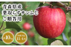 2025年産１１月～４月発送　贈答用葉とらずサンふじ10kg【青森県 平川市 そと川りんご園】１１月～４月発送 贈答 青森 青森県産 平川 葉とらず サンふじ ふじ りんご リンゴ 林檎 くだもの 果物 フルーツ 