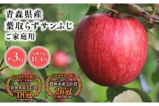 2025年産１１月～４月発送　【訳あり】家庭用葉とらずサンふじ3kg【青森県 平川市 そと川りんご園】１１月～４月発送 家庭用 青森 青森県産 平川 りんご リンゴ 林檎 くだもの 果物 フルーツ 葉とらず サンふじ ふじ