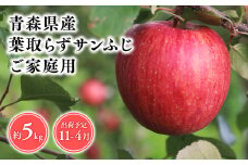 2025年産１１月～４月発送　【訳あり】家庭用葉とらずサンふじ5kg【青森県 平川市 そと川りんご園】１１月～４月発送 家庭用 青森 青森県産 平川 りんご リンゴ 林檎 くだもの 果物 フルーツ 葉とらず サンふじ ふじ