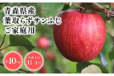 2025年産１１月～４月発送　【訳あり】家庭用葉とらずサンふじ10kg【青森県 平川市 そと川りんご園】１１月～４月発送 家庭用 青森 青森県産 平川 りんご リンゴ 林檎 くだもの 果物 フルーツ 葉とらず サンふじ ふじ