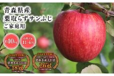 2025年産１１月～４月発送　【訳あり】家庭用葉とらずサンふじ10kg【青森県 平川市 そと川りんご園】１１月～４月発送 家庭用 青森 青森県産 平川 りんご リンゴ 林檎 くだもの 果物 フルーツ 葉とらず サンふじ ふじ