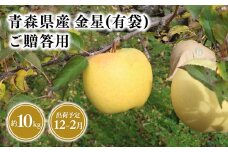 2025年産１２月～２月発送　贈答用金星(有袋)10ｋｇ　【そと川りんご園・１１月・１２月・１月・２月・青森県産・平川市・りんご・金星(有袋)・10ｋｇ・贈答用】