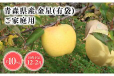 2025年産１２月～２月発送　【訳あり】家庭用金星(有袋)10ｋｇ　【そと川りんご園・１２月・１月・２月・青森県産・平川市・りんご・金星(有袋)・10ｋｇ・訳あり・家庭用】