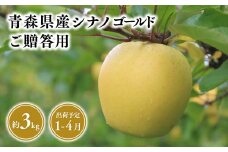 2025年産　１月～４月発送　贈答用シナノゴールド3kg　【青森県 平川市 そと川りんご園】１月～４月発送 贈答 青森 青森県産 平川 りんご リンゴ 林檎 くだもの 果物 フルーツ 