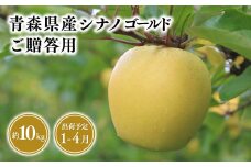 2025年産　 １月～４月発送　贈答用シナノゴールド10kg【青森県 平川市 そと川りんご園】１月～４月発送 贈答 青森 青森県産 平川 りんご リンゴ 林檎 くだもの 果物 フルーツ 