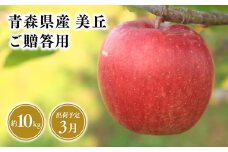2025年産 ３月発送　贈答用美丘10kg【青森県 平川市 そと川りんご園】３月発送 贈答 青森 青森県産 平川 りんご リンゴ 林檎 くだもの 果物 フルーツ 