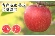 2025年産３月発送　【訳あり】家庭用美丘10kg【青森県 平川市 そと川りんご園】３月発送 家庭用 りんご リンゴ 林檎 くだもの 果物 詰め合わせ 旬 フルーツ ３月 青森県産 青森 