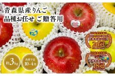 2025年産品種お任せ　贈答用　旬のりんご詰め合わせ３㎏【青森県 平川市 そと川りんご園】贈答 青森 青森県産 平川 りんご リンゴ 林檎 くだもの 果物 フルーツ 