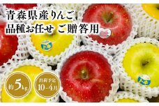 2025年産品種お任せ　贈答用　旬のりんご詰め合わせ5㎏【青森県 平川市 そと川りんご園】贈答 青森 青森県産 平川 りんご リンゴ 林檎 くだもの 果物 フルーツ 