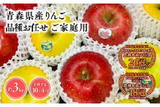 2025年産 品種お任せ　【訳あり】家庭用　旬のりんご詰め合わせ3㎏ 【青森県 平川市 そと川りんご園】家庭用 青森県産  青森 りんご リンゴ 林檎 贈答用 くだもの 果物 詰め合わせ 旬 フルーツ 