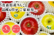 2025年産品種お任せ　【訳あり】家庭用　旬のりんご詰め合わせ5㎏【青森県 平川市 そと川りんご園】家庭用 青森県産  青森 りんご リンゴ 林檎 贈答用 くだもの 果物 詰め合わせ 旬 フルーツ 