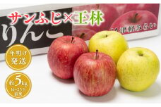 1～2月 青森県産 サンふじ×王林 詰め合わせ 約5kg 【青森県 平川市 JA津軽みらい】 平川市産 青森りんご 1～2月発送 青森 青森県産 平川 りんご リンゴ 林檎 くだもの 果物 フルーツ ふじ 王林 