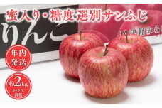 年内 蜜入り 糖度選別サンふじ約2㎏ 【青森県 平川市 JA津軽みらい 12月】青森 青森県産 平川 りんご リンゴ 林檎 くだもの 果物 サンふじ ふじ フルーツ 