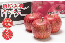 年明け 糖度選別サンふじ約5㎏ 【青森県 平川市 JA津軽みらい 1月・2月】 年明け発送 青森 青森県産 平川 りんご リンゴ 林檎 くだもの 果物 ふじ フルーツ 