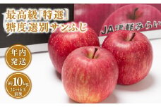 年内 最高級「特選」 糖度選別サンふじ約10kg 【青森県 平川市 JA津軽みらい 12月】青森 青森県産 平川 りんご リンゴ 林檎 くだもの 果物 ふじ フルーツ 