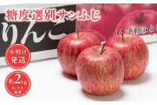 年明け  糖度選別サンふじ 約2kg 【青森県 平川市 JA津軽みらい 1月・2月】年明け発送 青森 青森県産 平川 りんご リンゴ 林檎 くだもの 果物 ふじ フルーツ 