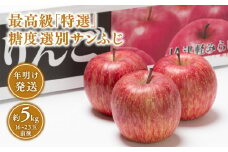 年明け  最高級「特選」糖度選別サンふじ 約5kg 【青森県 平川市 JA津軽みらい 1月・2月】青森 青森県産 平川 りんご リンゴ 林檎 くだもの 果物 ふじ フルーツ 