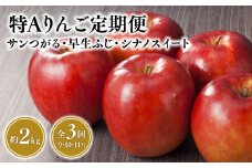 【定期便3回 ９月発送開始】特Aりんご定期便 サンつがる・早生ふじ・シナノスイート（各約2kg）全3回【青森県 平川市 JA津軽みらい 9月・10月・11月】青森 青森県産 平川 りんご リンゴ 林檎 つがる 早生ふじ シナノスイート くだもの 果物 フルーツ 