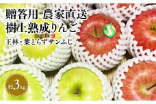 【11～12月発送】贈答用 農家直送 樹上熟成りんご 王林・葉とらずサンふじ 約3kg【平川市産・青森りんご】