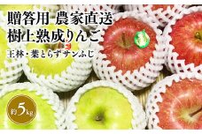 【11～12月発送】贈答用 農家直送 樹上熟成りんご 王林・葉とらずサンふじ 約5kg【平川市産・青森りんご】