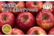 ≪1月～3月発送≫青森県産 訳あり 葉とらず サンふじ  約5kg【青森県 平川市 岩渕農園】 青森 青森県産 平川 りんご リンゴ 林檎 くだもの 果物 フルーツ 