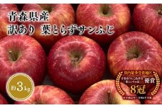 ≪1月～3月発送≫青森県産 訳あり 葉とらず サンふじ 約3kg【青森県 平川市 岩渕農園】 青森 青森県産 平川 りんご リンゴ 林檎 くだもの 果物 フルーツ 