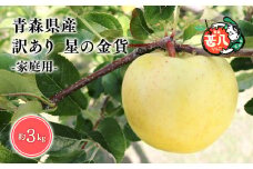 １１月発送　訳あり　家庭用　甚八りんご星の金貨３kg　【青森県 平川市 マルジンサンアップル】１１月発送 青森 青森県産 平川 りんご リンゴ 林檎 くだもの 果物 フルーツ 