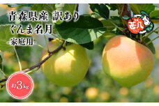 １１月発送　訳あり　家庭用　甚八りんごぐんま名月３kg【青森県 平川市 マルジンサンアップル】１１月発送 青森 青森県産 平川 りんご リンゴ 林檎 くだもの 果物 フルーツ 