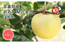 １１月発送　訳あり　家庭用　甚八りんご星の金貨5kg【青森県 平川市 マルジンサンアップル】１１月発送 青森 青森県産 平川 りんご リンゴ 林檎 くだもの 果物 フルーツ 
