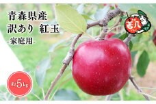 １０月発送　訳あり　家庭用　甚八りんご紅玉５kg【青森県 平川市 マルジンサンアップル】１０月発送 青森 青森県産 平川 りんご リンゴ 林檎 くだもの 果物 フルーツ 