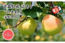 １１月発送　訳あり　家庭用　甚八りんごぐんま名月5kg【青森県 平川市 マルジンサンアップル】１１月発送 青森 青森県産 平川 りんご リンゴ 林檎 くだもの 果物 フルーツ 