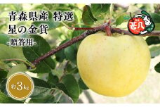 １１月発送　特選　甚八りんご星の金貨３kg【青森県 平川市 マルジンサンアップル】１１月発送 贈答用 青森 青森県産 平川 りんご リンゴ 林檎 くだもの 果物 フルーツ 